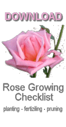 growing roses checklist